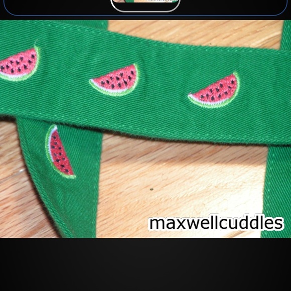 J CREW NWT CRITTER BELT EMBROIDERED WATERMELON S/M - Picture 1 of 2